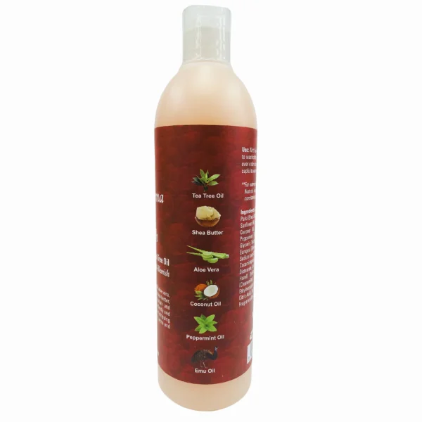 Acne & Eczema Therapy Body Wash - Image 2