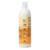 Mango Butter Conditioner - Image 2